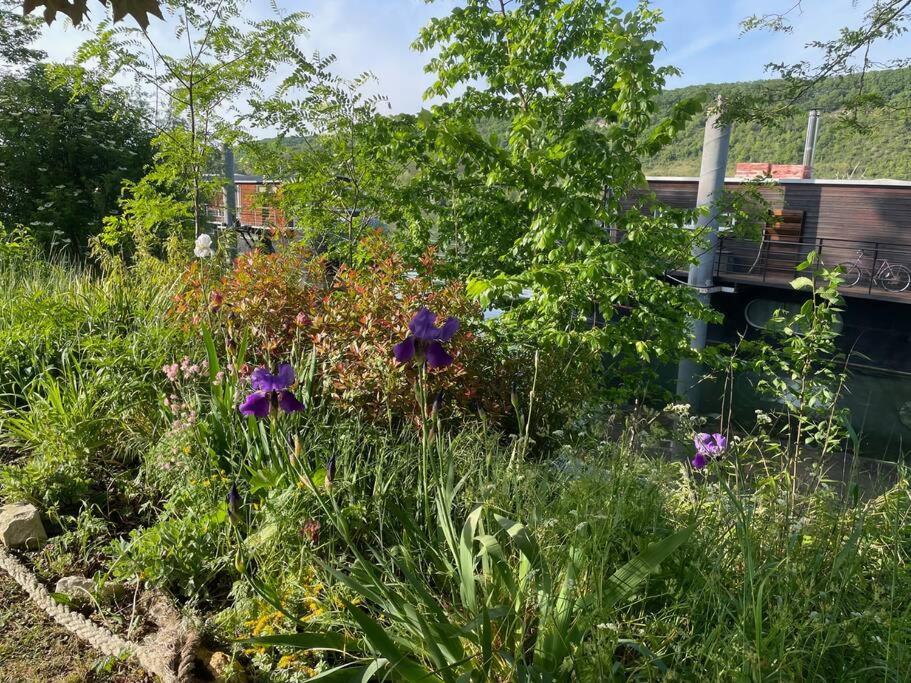 Maison Fleurs De Lys, Climatisee, Wifi Et Parking Privee Gratuit, Lave-Linge, Vernon Giverny Vernon (Eure) Exterior foto